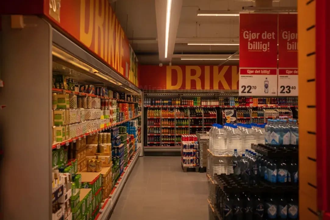 Mirai Consumer Marketing 6